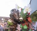 A_T-20160819-193049_IMG_1046-6a